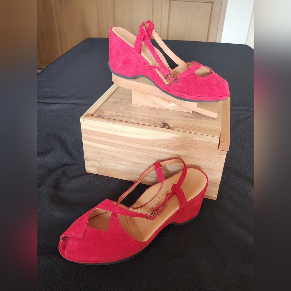 L'Amour des Pieds red suede wedge size 9